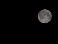 手放したい習慣と、手放してはいけない学びの話