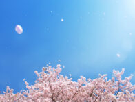 6年前の春を静かに振り返る